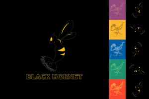 Black Hornet Radio - nová hudební hardrocková stanice získala licenci k digitálnímu vysílání v DAB+