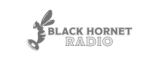 Radio Profesional - reklama - Black Hornet Radio - BH radio