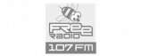 Free radio logo
